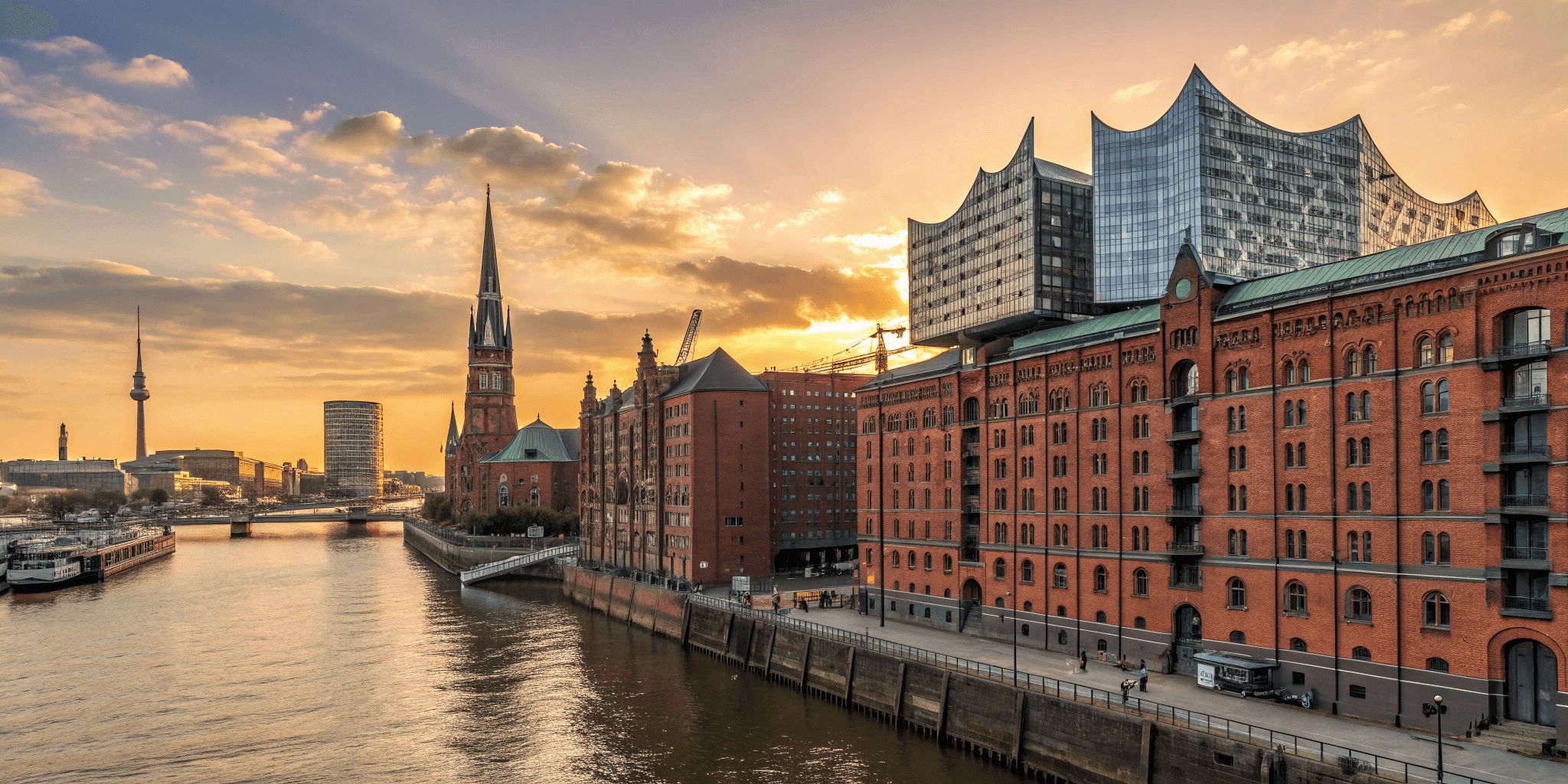 TUCAN bird flying over Hamburg sunny skyline